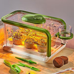 Kids Plant Growing Kit, Kids Gardening Greenhouse Growing Kit With Drip Irrigation And Grow Lights, Science Stem Toys Terrarium Kit For Boys Girls 3 4 5 6 7 8 Year Old,Kids Flower Growing Kit
