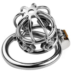 Penis Cage For Sex Metal Chastity Cage With Spikes Sexual Chastity Devices For Male Chastity Devices With Invisible Lock 50Mm