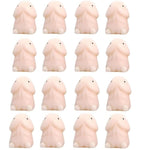 Mini Penis Adult Sex Toys,16Pcs Realistic Dildos Stress Relief Toy Couples Sex Toy for Men Women,Small Squishy Penis Shape Decompression Squeeze Toy for Relax Pressure, Sex Game Play Novelty Gag Gifts