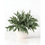 3 Pack Faux Real Touch Artificial Eucalyptus Stems with Seeds 31'' Tall Fake Plants Leaves Olive Tree Branches Faux Greenery Stems for Bridal Wedding Bouquet Vase Table Centerpiece Decor