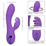 Novelties California Dreaming West Coast Wave Rider, Purple