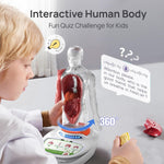 Interactive Human Anatomy Model for Kids with Organs & Quiz Mode