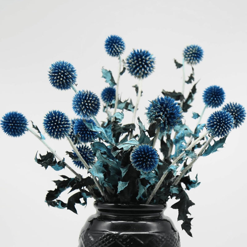 20+ Balls Dried Blue Thistle Flowers Bouquet - 15" Preserved Echinops Globe Fl