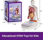 Interactive Human Anatomy Model for Kids with Organs & Quiz Mode