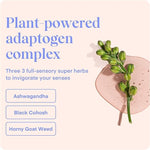 Love Sesh Water-Based Lubricant, Natural Ingredients, Safe with Latex, 3.7 Oz