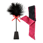 SM Flogger Crop with Feather Tickler & Satin Blindfold BDSM Starter Kit