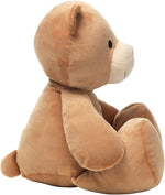 Bedtime Originals Animal Alphabet Plush Brown Bear Stuffed Animal Toy
