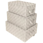 Set Of 3 Storage Baskets For Organizing With Lid, Mesh Hand-Woven Design, Linen