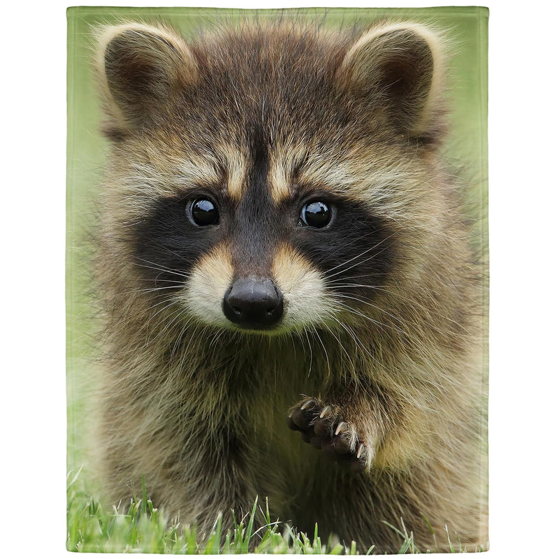 Cute Baby Raccoon Blanket Animal Pattern Digital Print Fleece Throw 50"X60"