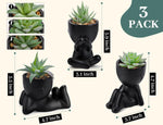 3pcs Fake Succulents Plants Artificial for Black Bathroom Bedroom Home Room Decor Aesthetic Indoor