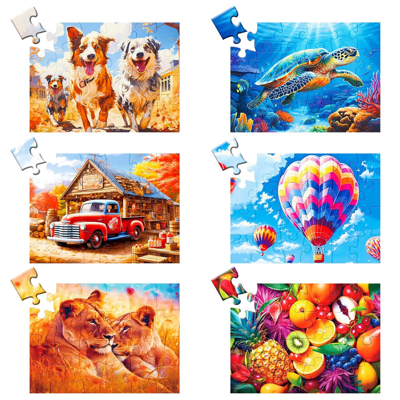 24 Large Piece Puzzle For Seniors 6 Pack Puzzles Dementia Alzheimer'S Produ