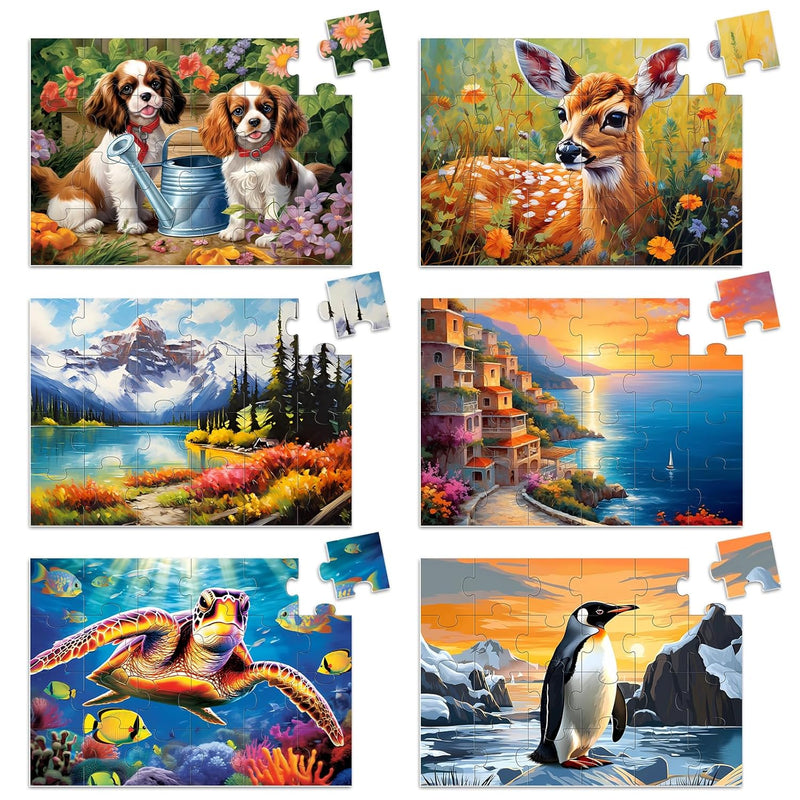 6 Pack Large Piece Puzzles For Seniors, 24 Piece Dementia Puzzles For Elder