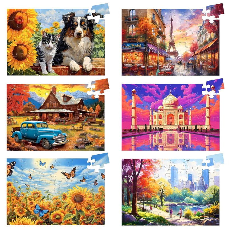 6 Pack 36 Large Piece Puzzles For Seniors Puzzle Dementia Alzheimer'S Produ