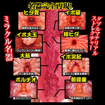 Npg No Syoumei Zero Minami Aizawa Japanese Masturbator