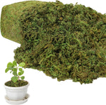 17.6 OZ Artificial Moss for Potted Plants,Natural Fake Moss Grass Fresh Green Moss for Hamsters,Craft Moss and Greenery Bulk for Garden Wedding Decoration