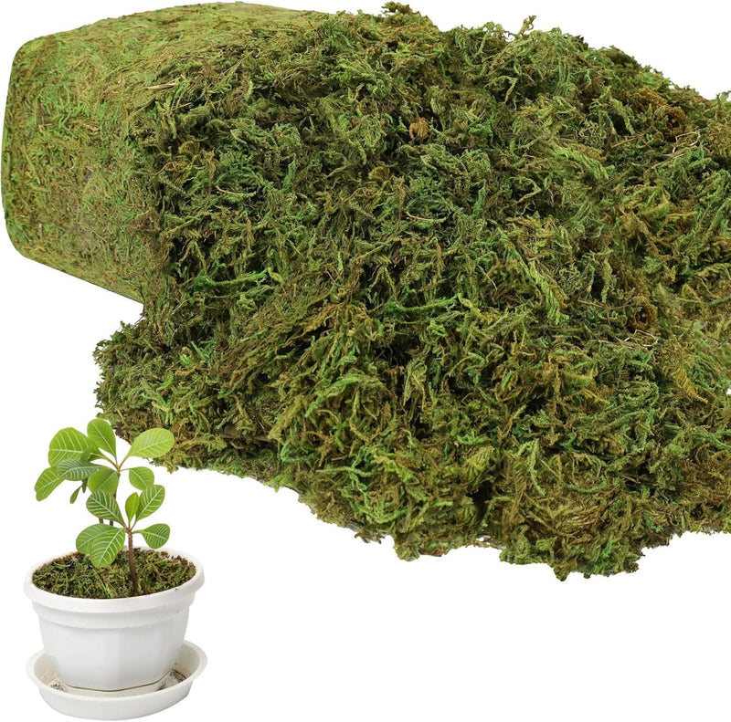 17.6 OZ Artificial Moss for Potted Plants,Natural Fake Moss Grass Fresh Green Moss for Hamsters,Craft Moss and Greenery Bulk for Garden Wedding Decoration