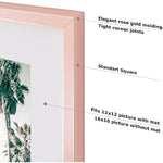 16x16 inch Tempered Glass Square Picture Frame   Wall Hook Included