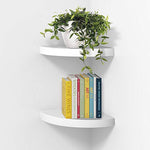 Wall Mounted Wood Corner Shelves - Set of 2