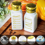 Stainless Steel Lid Glass Salt and Pepper Shakers