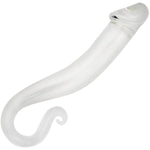 Glass Dildo G-Spot Stimulate Crystal Massager Anal Sex Toys For Women And Men Masturbation Penis Butt Plug