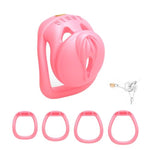 Chastity Cage Sissy Lock With 4 Size Rings Breathable Resin Cock Lage Sm Bondage Gear 3D Printing Adult Wearable Devices For Men (S)