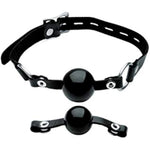 Isabella Sinclaire Interchangeable Silicone Ball Gag Set
