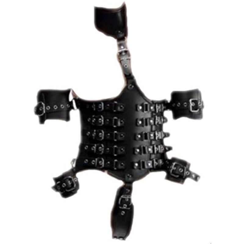 Ultimate Lockdown Female Waist Cincher