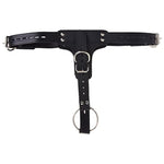Luxury Leather Bondage Kit with Locking Cock Ring and Anal Plug Harness