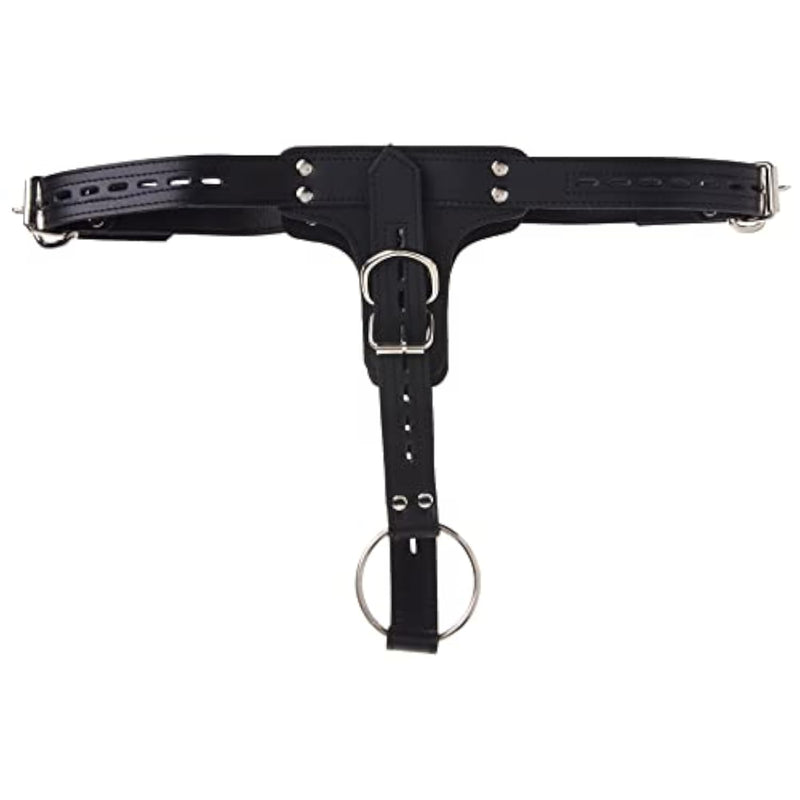 Luxury Leather Bondage Kit with Locking Cock Ring and Anal Plug Harness