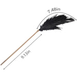Sm Feather Tickler Black Soft Feather Tickler With Detachable Metal Handle Role Play Body Teasing Adult Toy