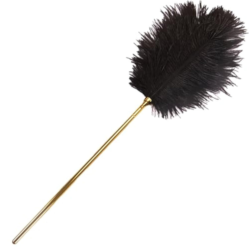 Bdsm Tool Feather Tickler For Sensual Play Premium Adult Bondage Set Sex Feather Toy For Couples