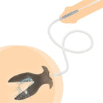 Transparent Silicone Urethral and Anal Plug Set for Male Masturbation