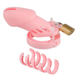 Male Chastity Device with 5 Adjustable Rings and Lock for Penis Exercise and Bondage
