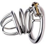 The Pen Deluxe Stainless Steel Locking Chastity Cage