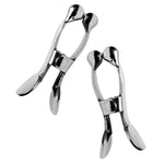 Intense Sensation Stainless Steel Nipple Clamps with Ball Tips