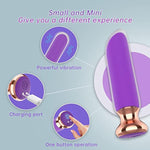 Bullet Vibrators Adult Sex Toys, Rechargeable Lipstick Mini Vibrator With 10 Powerful Vibrations For G Spot Clitoral Stimulation,Adult Sex Toys & Games For Women And Couples(Purple)