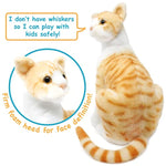 Tobias The Orange Tabby Cat - 12 Inch Stuffed Animal Plush