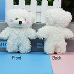 12 Pack Mini White Teddy Bears , 4.7 Inch Tiny Soft Stuffed Teddy Bear, Mini Plush Bears Bulk For Birthday Table Decor Centerpiece Bag Fillers Party Favors Diy Keychain Crafts, We