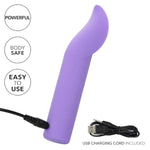 Dr. Laura Berman Rechargeable Flutter Waterproof Silicone Clitoral Vibrator Purple - Se-9730-30-2