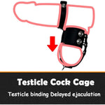 Leather Cock Cage Cbt Chastity Belt Cock Ring Penis Sleeve Cage Cock And Ball Torture With Scrotum Separator Restraints Bondage Gear & Accessories Penis Punish Bdsm Penis Exercise For Couples Men