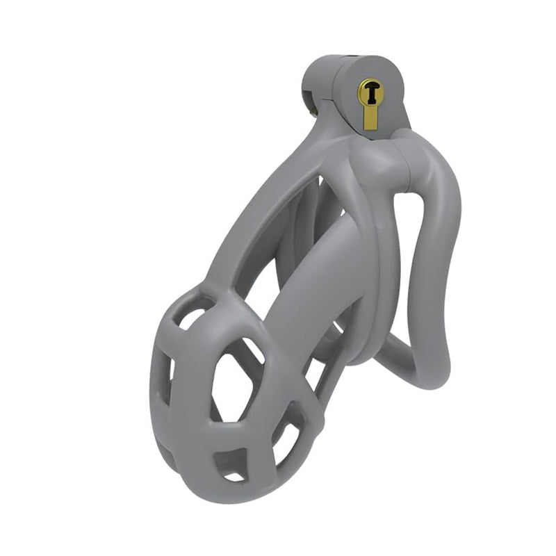 Chastity Cage 2.0 Male Chastity Cage Resin Cock Cage, Male Chastity Device With 4 Rings, Penis Bondage Exercise Male Sex Toy Penis Lightweight Chastity Cage Gray (Small), Invisible Lock And Key