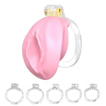 Chastity Device, Female Design Negative Chastity Cage, Comfortable Inverted Chastity Cage With 5 Rings