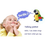 Talking Parrot Repeat What You Say Mimicry Pet Toy Plush Interactive Toys Buddy Parrot For Children Gift,4 X 7.8Inches(Green)