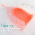 Stain Remover - The Only Sterilizer Cleaner that Will Remove Stains On Your Reusable Menstrual Discs & Period Cups - Organic and Natural Ingredients for Feminine Care (5 Packets)