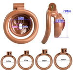 Male Chastity Cage Sissy Chastity Devices With Lock Realistic Clitoris Labia Shaped Bondage Restraints Bdsm Penis Cages Resin Sex Toys For Men And Couples