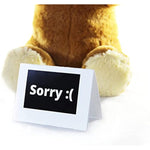 Cutest I'M Sorry Gift For Her & Him - The I'M Sorry Teddies - Embarrassed Adorable Super Soft Stuffed Animal Plush Toy - Unique Cute Forgive Me Apology Teddy Bear Gift For Kids And Adults - Brown