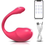 Wearable Clitoral G Spot Vibrator, App Remote Control G-Spot Panty Vibrators,Adult Stimulator Sex Toys More Than 10 Vibrations For Women And Couple (Rose Red)