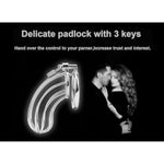 Male Chastity Device Cock Cage With 3 Sizes Of Rings, Premium Metal Silver Locked Cage Adult Sex Toy For Men, Lock And 3 Keys Included