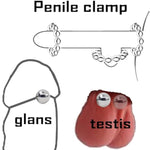 Nipple Clamps for Sex Pleasure Clitoris Labia Clamps BDSM Sexual Stimulate Device clit clamp Fetish Nipple Toys, Fake Nipple Non Piercing Teasers Breast Clips Ball for Women Couple?5 Pairs?