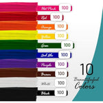 1000 Pcs Multicolor Pipe Cleaners, 10 Colors, 6mm x 12 Inch Chenille Stems